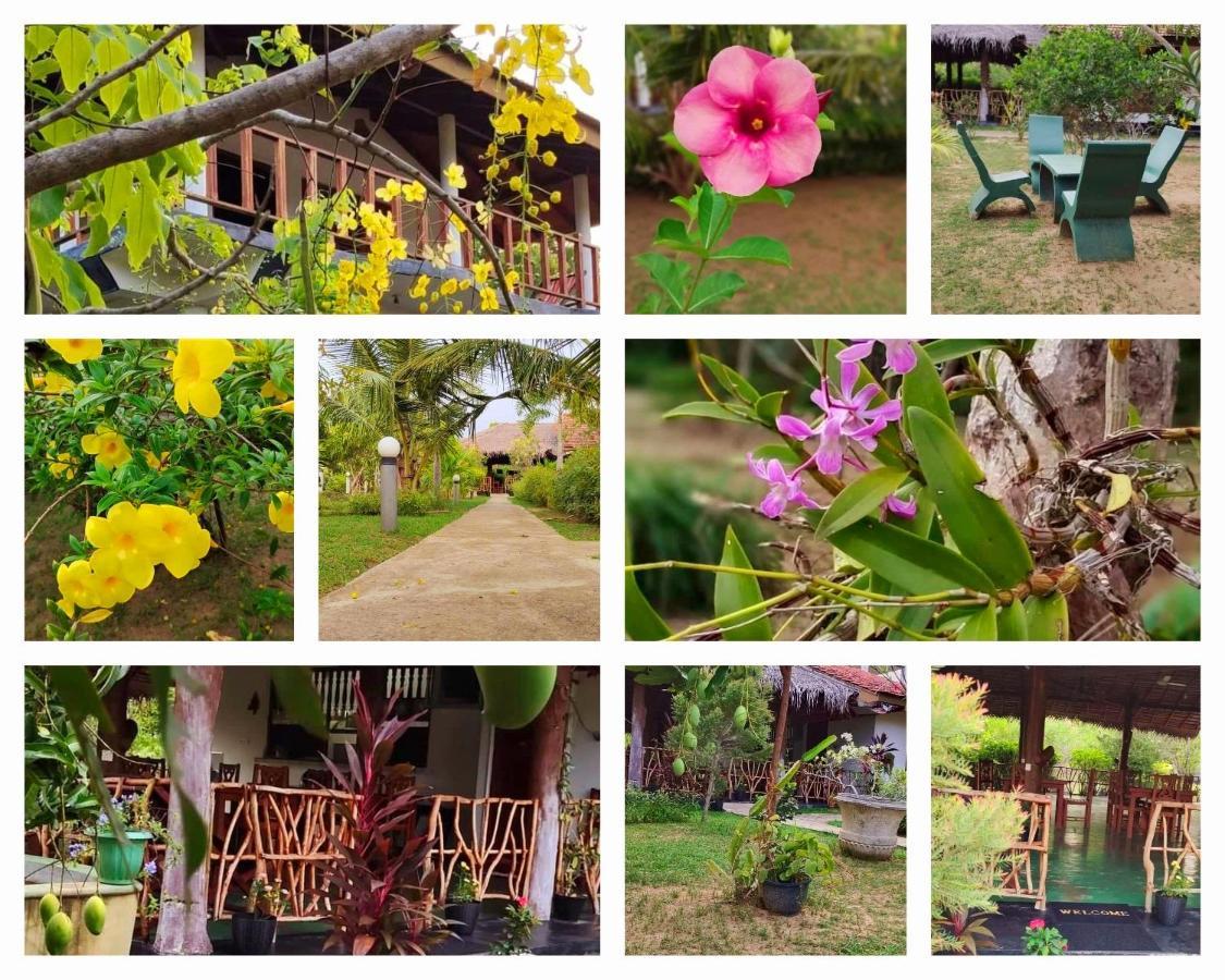 Pearl Cave Cabanas & Resturant Tangalle Eksteriør billede