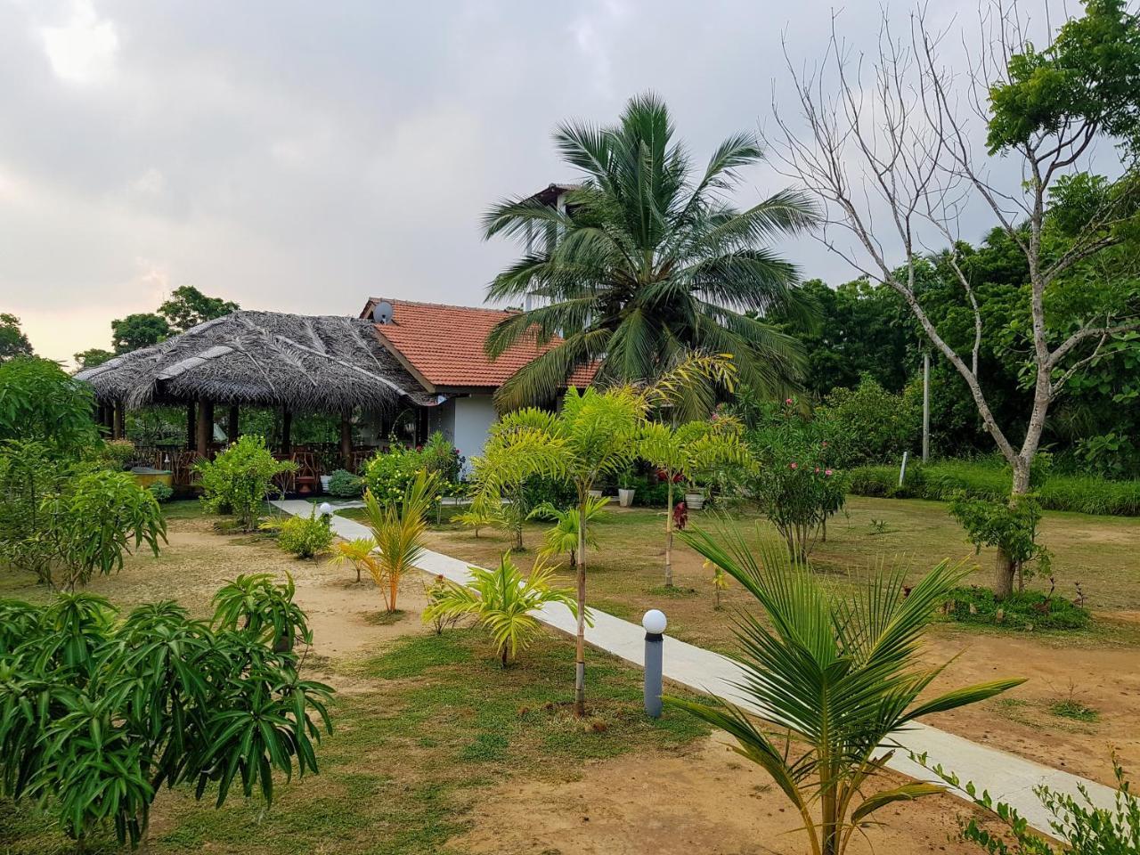 Pearl Cave Cabanas & Resturant Tangalle Eksteriør billede